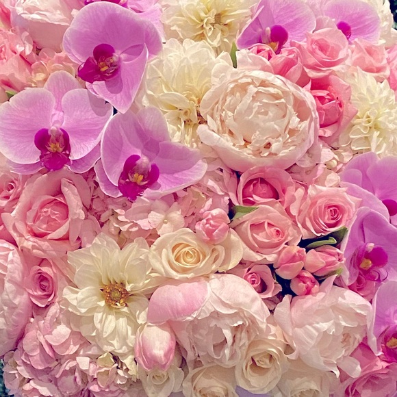 Meet your Posher, Tegan - Picture 9 of 10